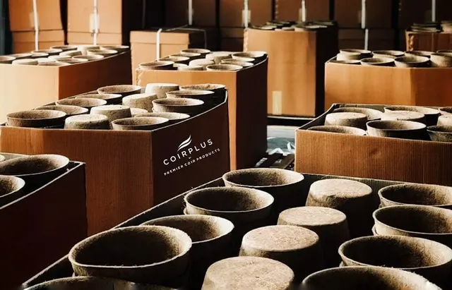 Coir pots in moulds