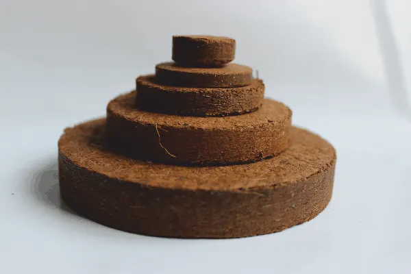 Coco peat discs stacked by size, on grey