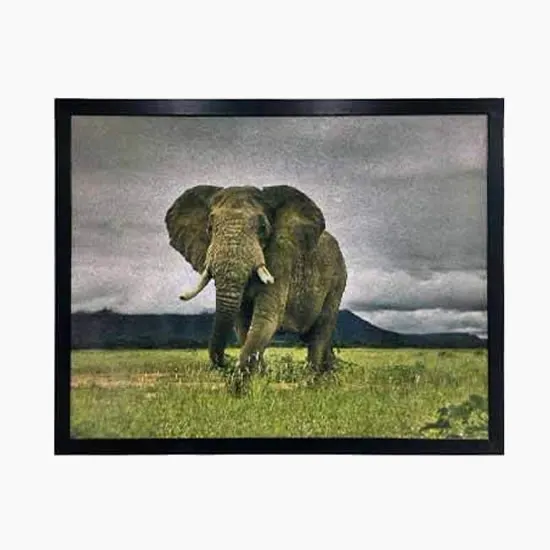 Framed coir print of an elephant