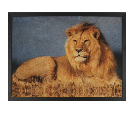Framed coir print of a lion