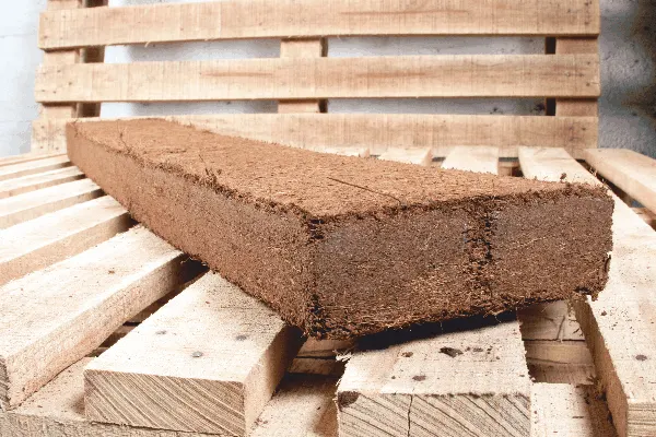 Coco peat grow slab on a pallet