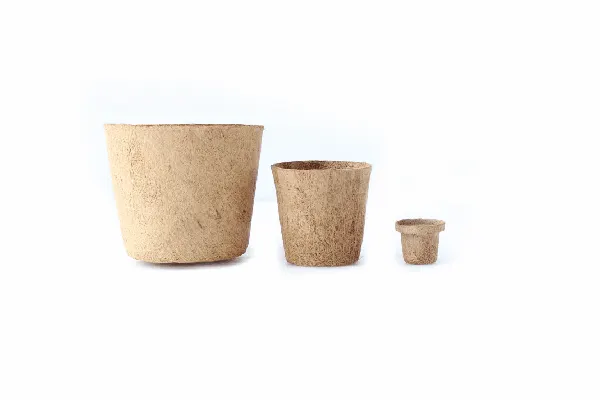 Three coir pots in different sizes